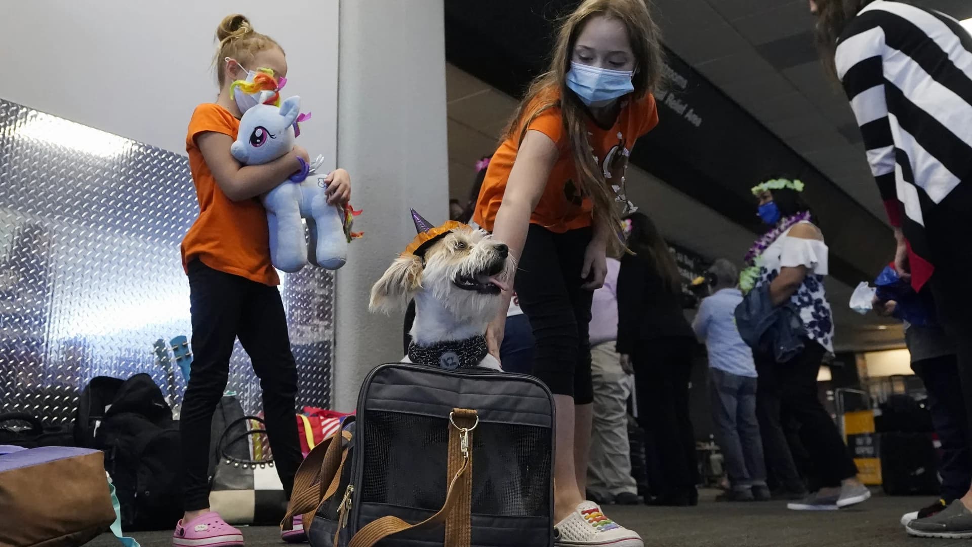WOOF! Tips for traveling with your ‘fur-ever’ friend
